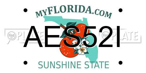AES52I Florida License Plate