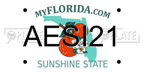 AESI21 Florida License Plate