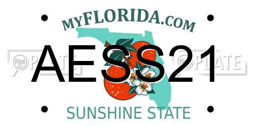AESS21 Florida License Plate