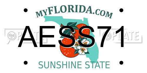 AESS71 Florida License Plate