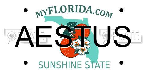 AESTUS Florida License Plate