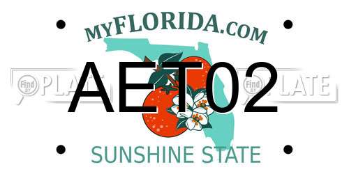AET02 Florida License Plate