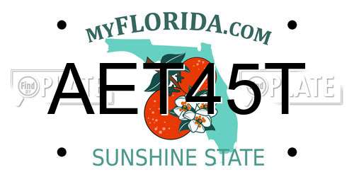 AET45T Florida License Plate