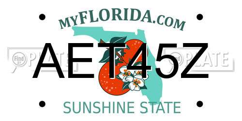 AET45Z Florida License Plate