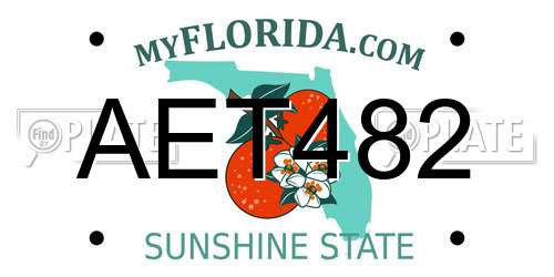 AET482 Florida License Plate