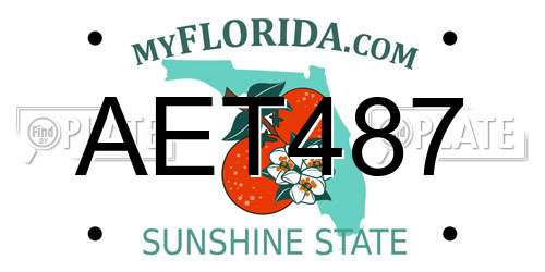 AET487 Florida License Plate