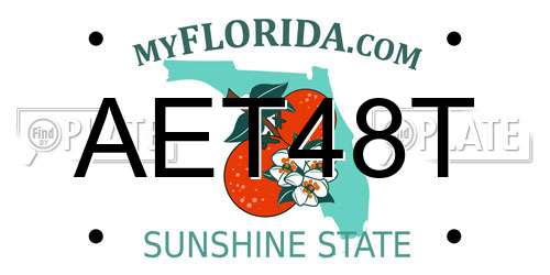 AET48T Florida License Plate