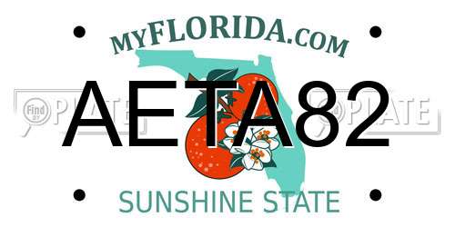 AETA82 Florida License Plate