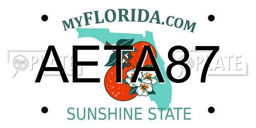 AETA87 Florida License Plate