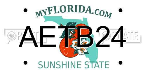 AETB24 Florida License Plate