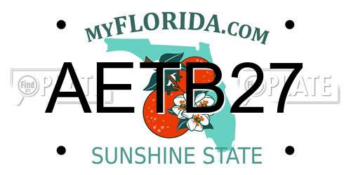 AETB27 Florida License Plate
