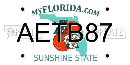 AETB87 Florida License Plate