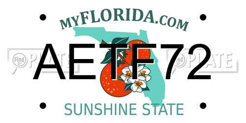 AETF72 Florida License Plate