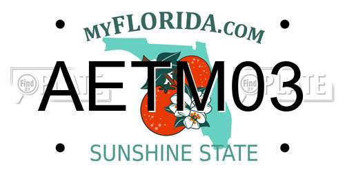 AETM03 Florida License Plate