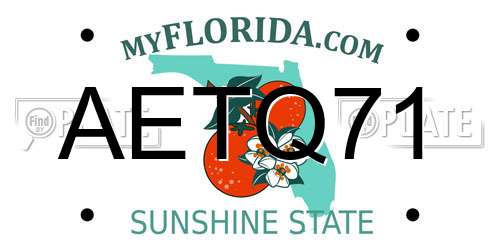AETQ71 Florida License Plate