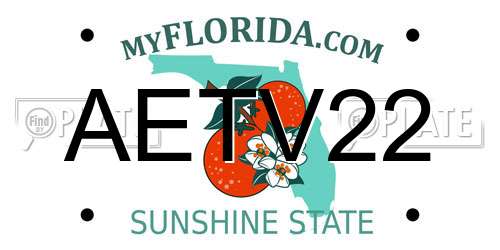 AETV22 Florida License Plate