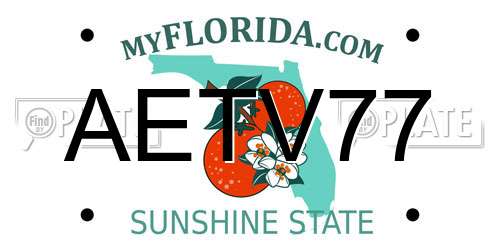 AETV77 Florida License Plate