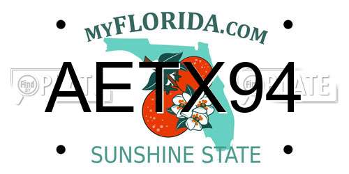 AETX94 Florida License Plate