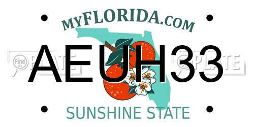 AEUH33 Florida License Plate