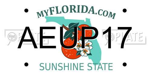 AEUP17 Florida License Plate
