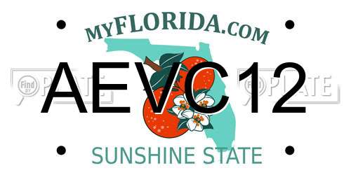 AEVC12 Florida License Plate