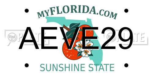 AEVE29 Florida License Plate