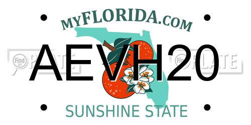 AEVH20 Florida License Plate