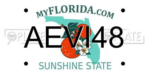 AEVI48 Florida License Plate
