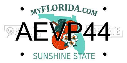 AEVP44 Florida License Plate