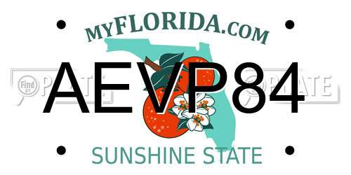 AEVP84 Florida License Plate