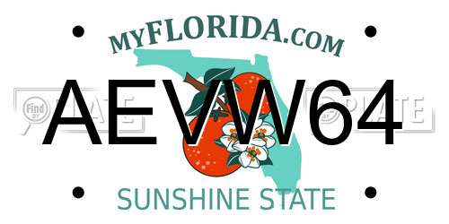 AEVW64 Florida License Plate