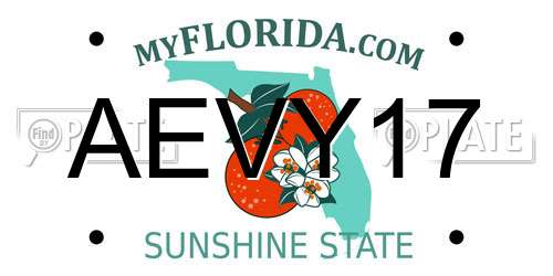 AEVY17 Florida License Plate