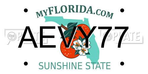 AEVY77 Florida License Plate