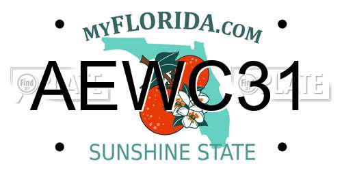AEWC31 Florida License Plate