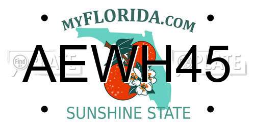 AEWH45 Florida License Plate