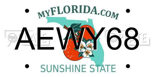 AEWY68 Florida License Plate