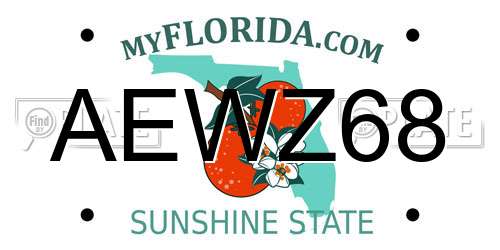 AEWZ68 Florida License Plate