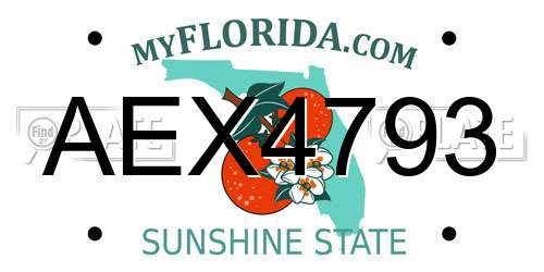 AEX4793 Florida License Plate