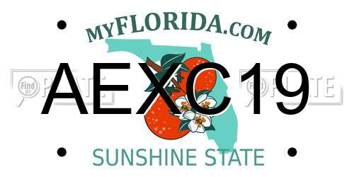 AEXC19 Florida License Plate