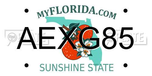 AEXG85 Florida License Plate