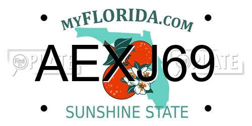 AEXJ69 Florida License Plate