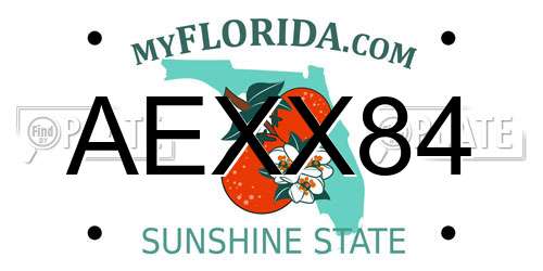 AEXX84 Florida License Plate