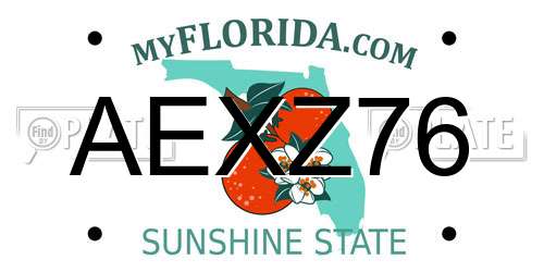 AEXZ76 Florida License Plate