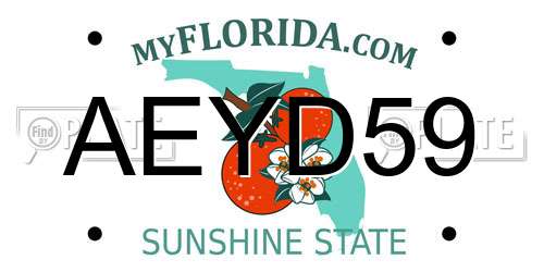 AEYD59 Florida License Plate