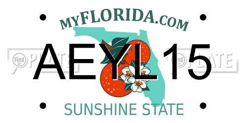AEYL15 Florida License Plate