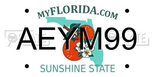 AEYM99 Florida License Plate