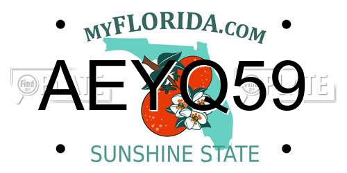 AEYQ59 Florida License Plate