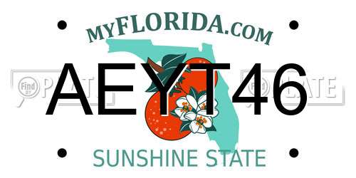 AEYT46 Florida License Plate