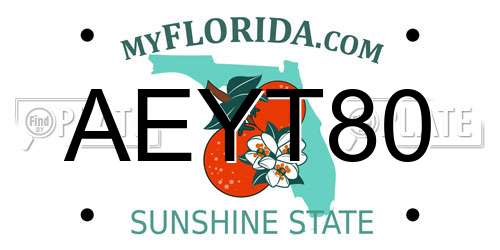 AEYT80 Florida License Plate