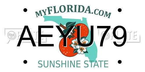 AEYU79 Florida License Plate